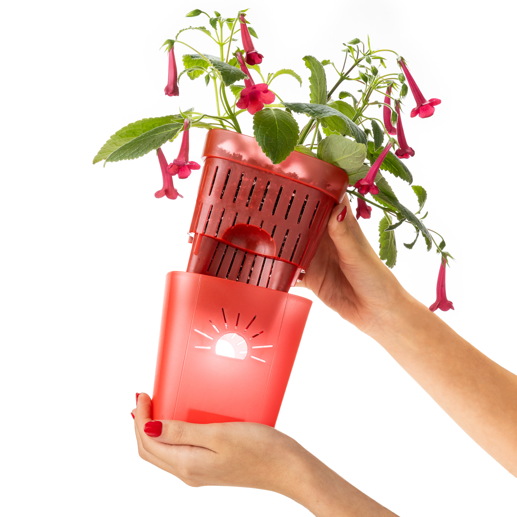 girl's hands showing red air root pruning planter by Naked Root with pink flowers