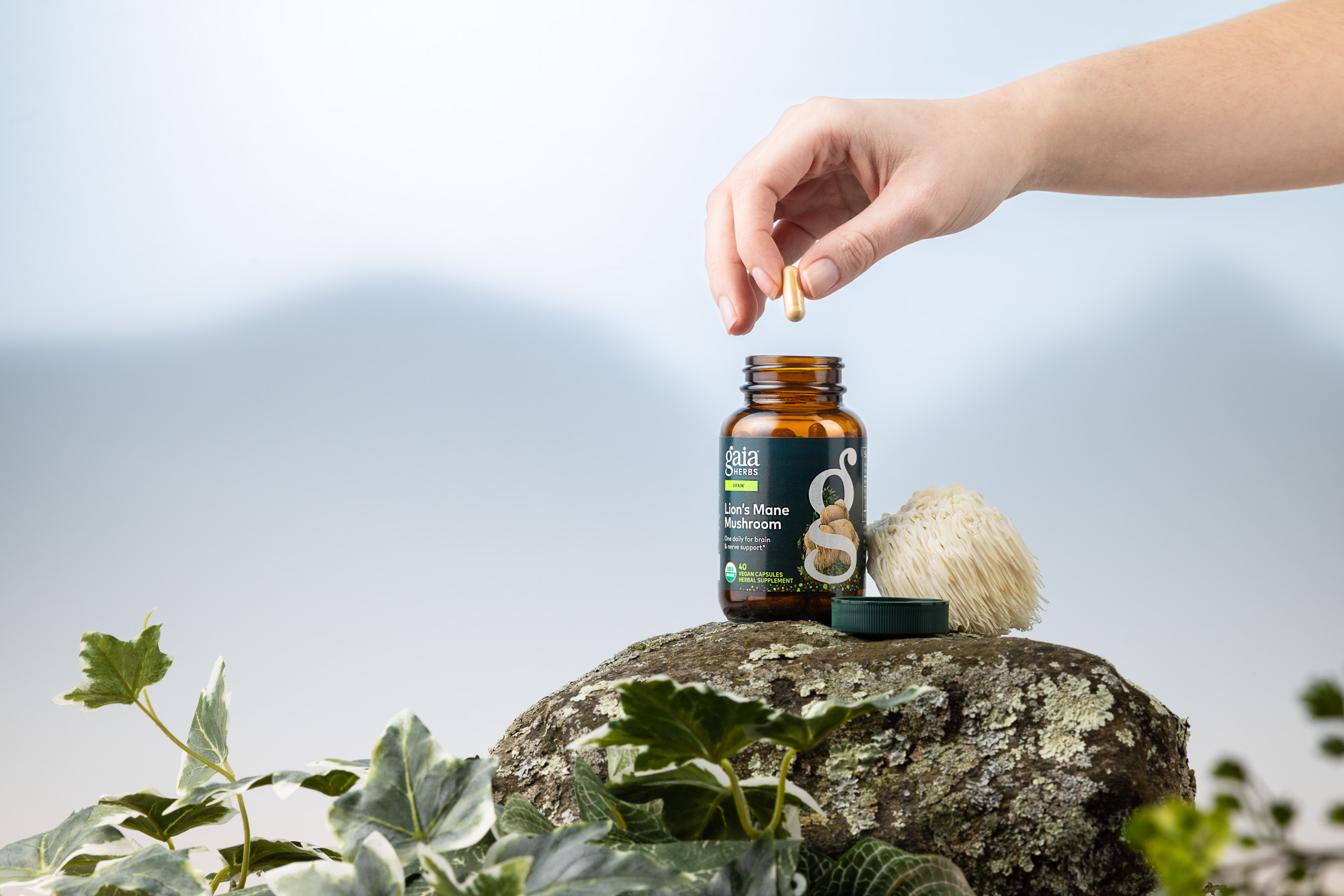 hand holding lion's mane mushroom supplement by gaia herbs
